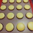 Folie Silpat® Macarons  