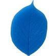 Mulaj Silicon First Impressions Hydragea Leaf, Kit