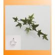 Decupator CelCrafts Iedera