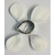 Mulaj Silicon Petal Crafts Anemone + Cutter