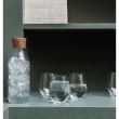 Carafa Sublime 100 cl