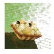 Forma Flexipan® Origine Tartelettes Carrees Cannelees
