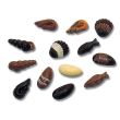 Forma ciocolata policarbonat Seafood Diverse