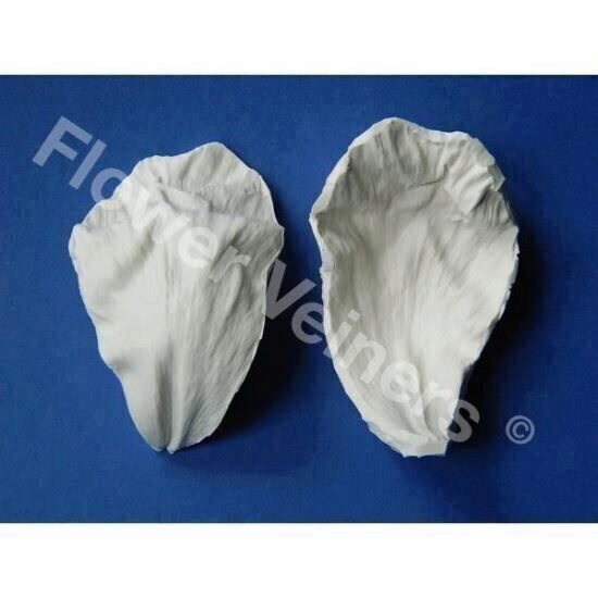 Mulaj Silicon Flower Veiners Peony Petal