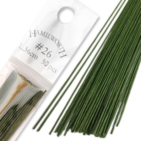 Sarma Hamilworth Verde