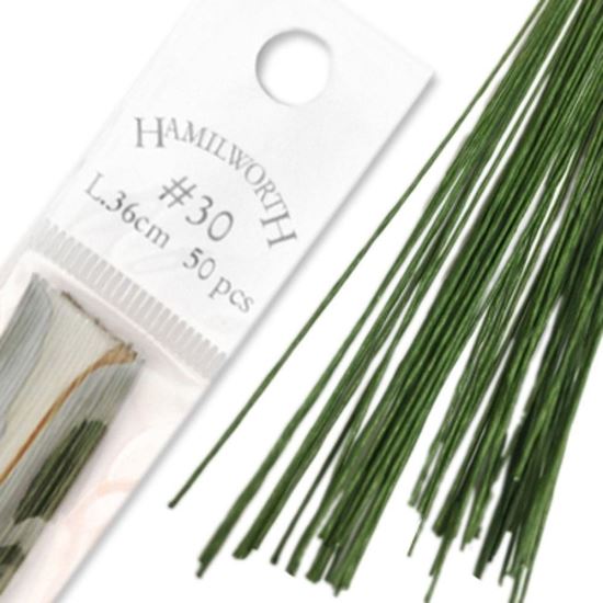 Sarma Hamilworth Verde