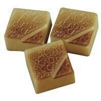 Forma ciocolata policarbonat Praline Patrate Cacao
