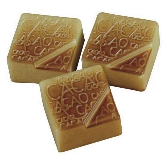 Forma ciocolata policarbonat Praline Patrate Cacao